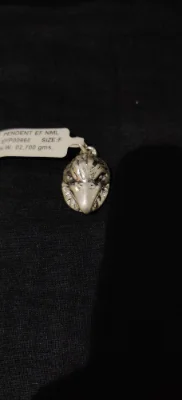 This silver locket features an intricately detailed bird or eagle head design with an oxidised finish.