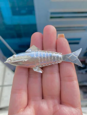 Glossy silver fish yantra with segmented body pattern, connected fins, and smooth finish.